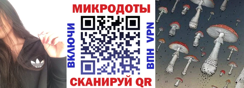 Галлюциногенные грибы MAGIC MUSHROOMS  гидра зеркало  Тогучин 